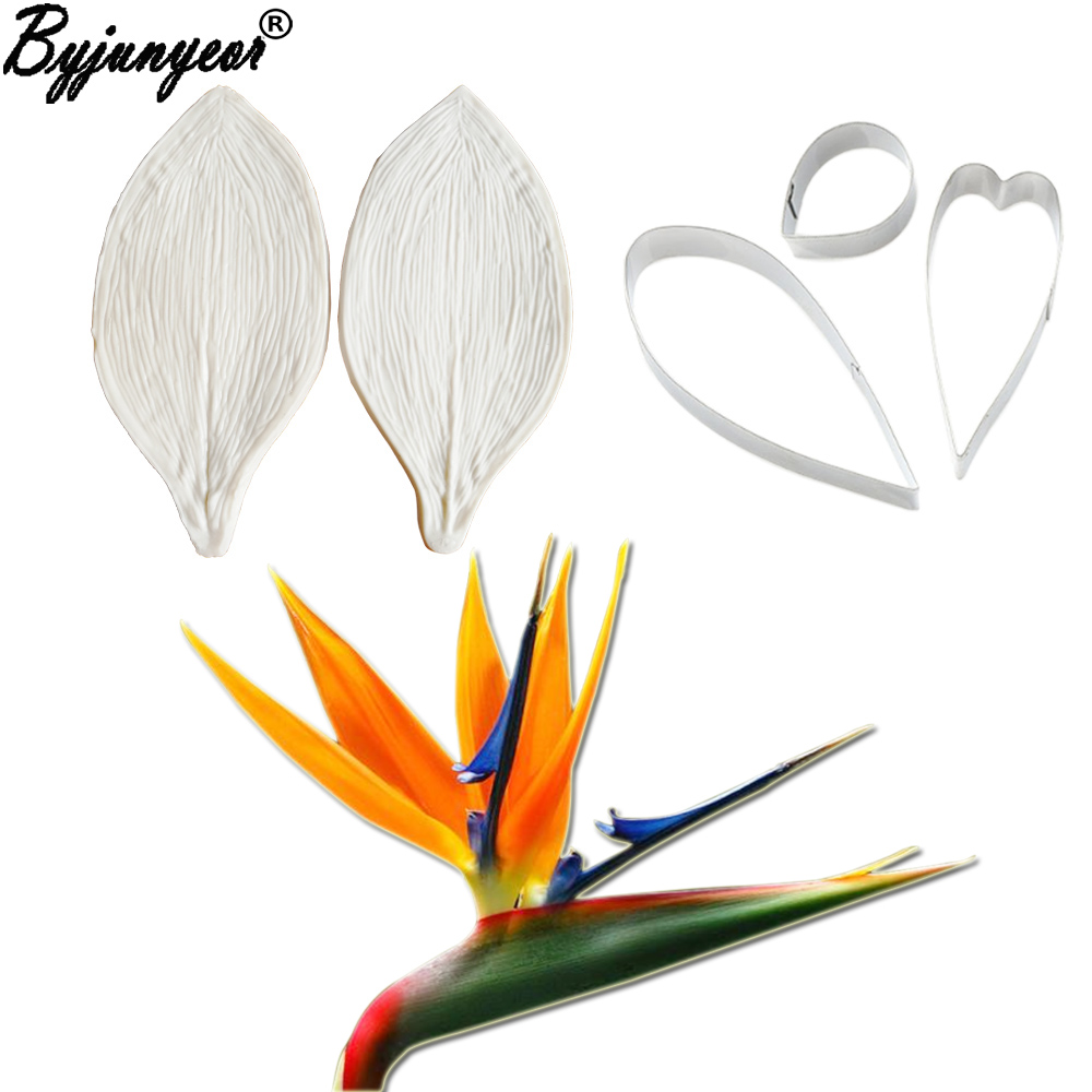 Bird Paradise Strelitzia - Lớn Gumpaste Strelitzia Chim Thiên Đường