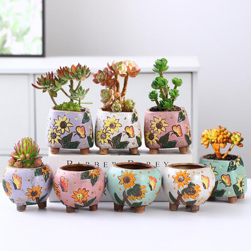 Korean Style Sunflower Pattern - đánh giá và giá Echeveria Succulent