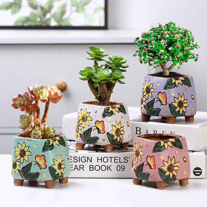 Korean Style Sunflower Pattern - đánh giá và giá Echeveria Succulent