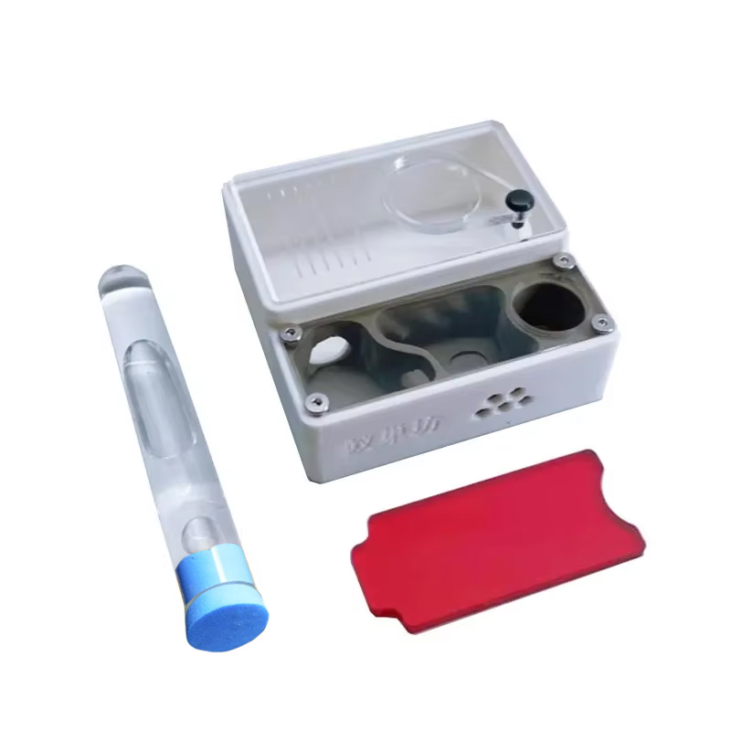3D Printed Ant Farm Queen Ant' - đánh giá và giá Begonia Rex