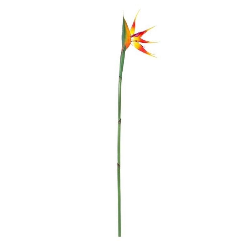 New Long Stem Artificial Bird  - đánh giá và giá Bird Paradise Strelitzia