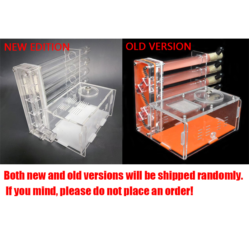 Tự Làm Acrylic Kiến Nông Trại  - đánh giá và giá Begonia Rex