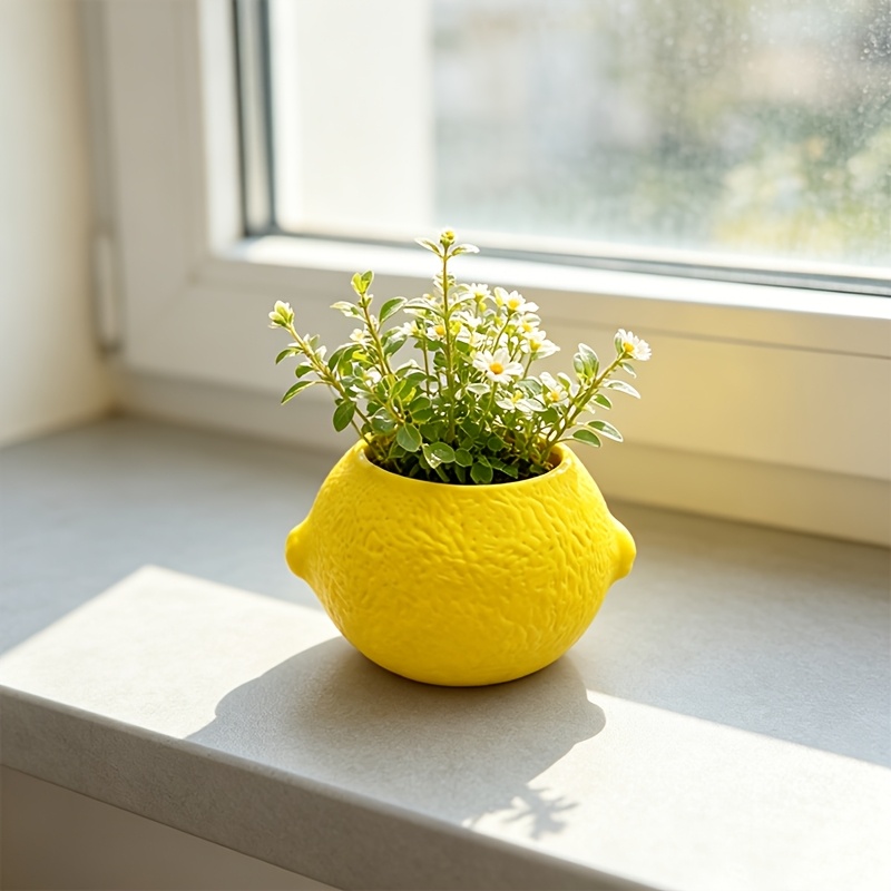 Lemon Shape Decorative Planter - đánh giá và giá Echeveria Succulent