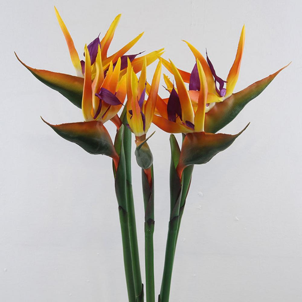 1pc 80cm Flower Bird Of Paradi - đánh giá và giá Bird Paradise Strelitzia
