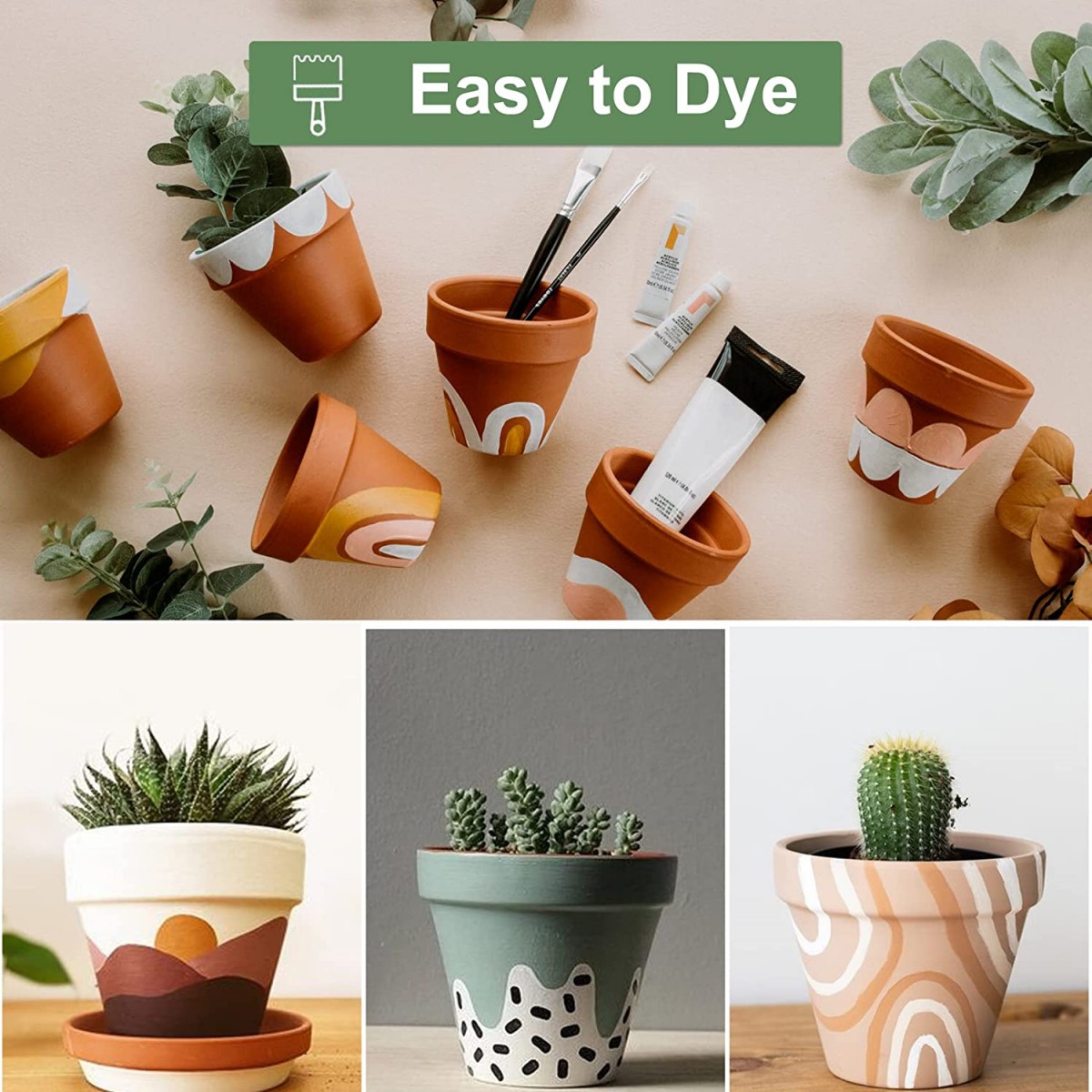 16 Pcs 1.8'' Terra Cotta Pots  - đánh giá và giá Echeveria Succulent