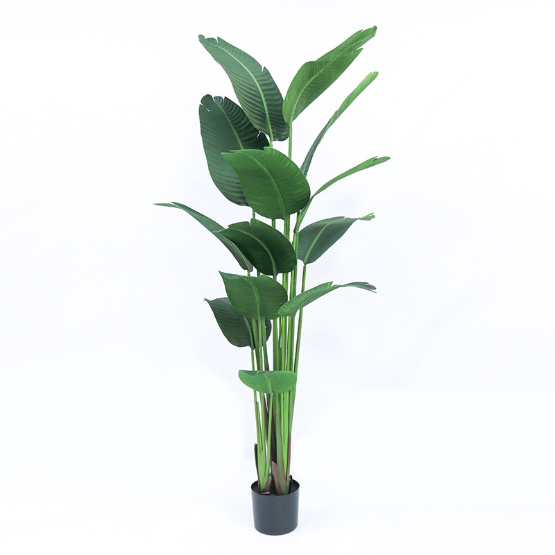 Artificial Plastic Potted ​Pla - đánh giá và giá Bird Paradise Strelitzia
