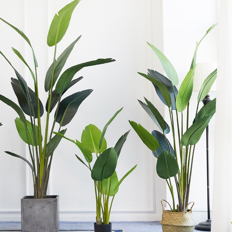 Artificial Plastic Potted ​Pla - đánh giá và giá Bird Paradise Strelitzia