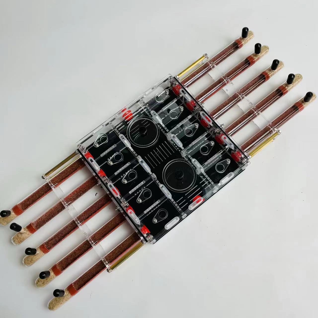Unlimite Mở Rộng Tổ Kiến Acryl - đánh giá và giá Begonia Rex