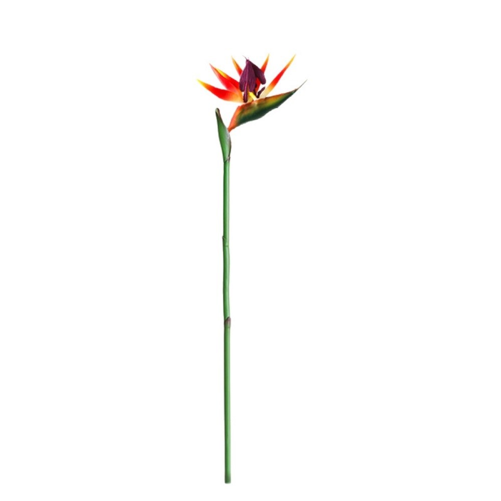 Long Stem Artificial Bird of P - đánh giá và giá Bird Paradise Strelitzia