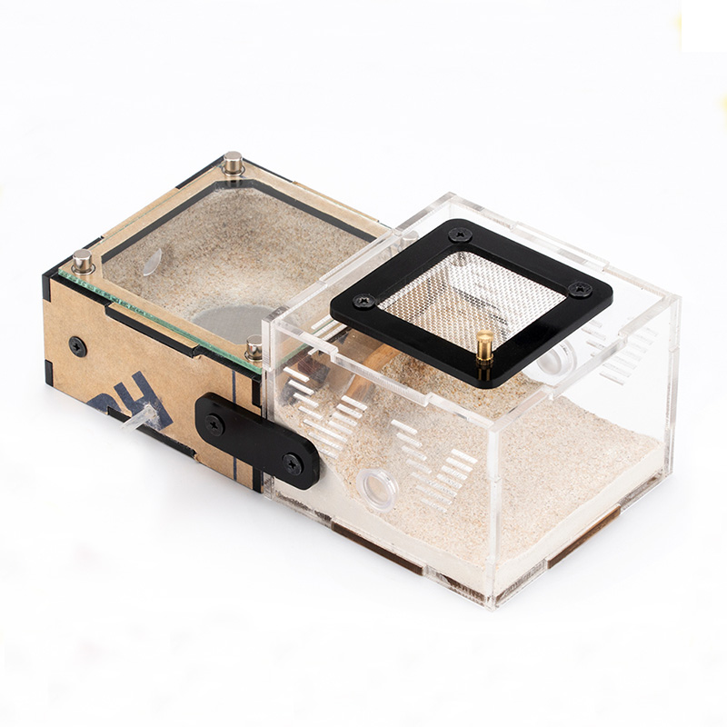 Unlimited Expansion Ant Farm H - đánh giá và giá Begonia Rex