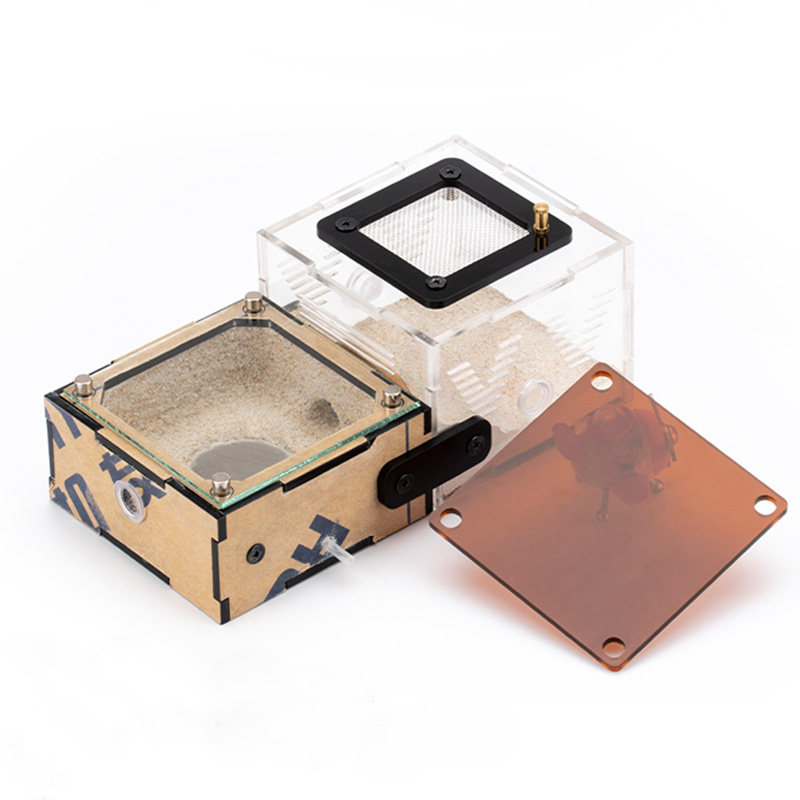 Unlimited Expansion Ant Farm H - đánh giá và giá Begonia Rex