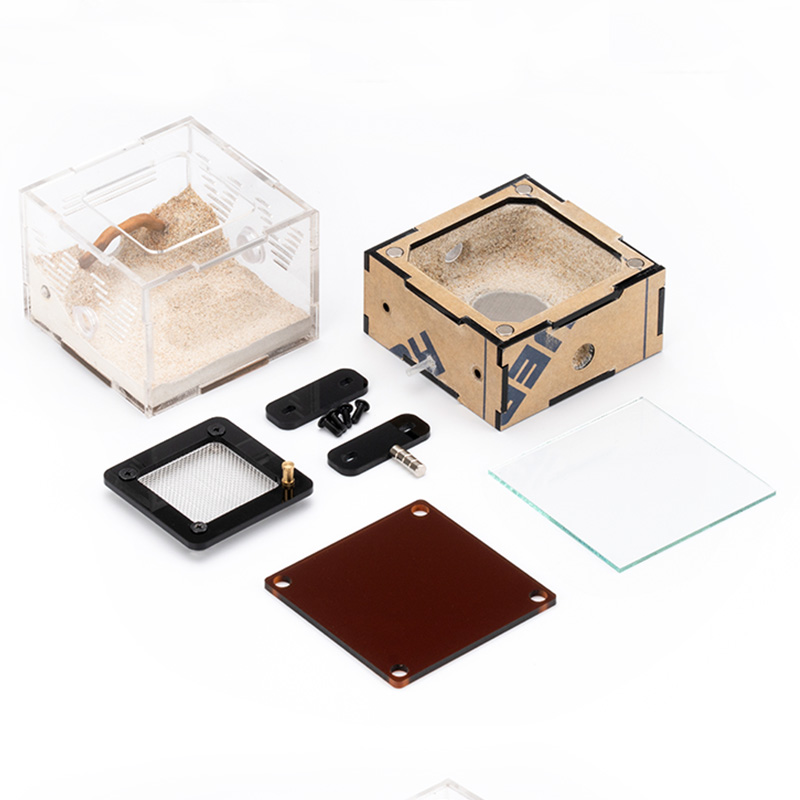 Unlimited Expansion Ant Farm H - đánh giá và giá Begonia Rex